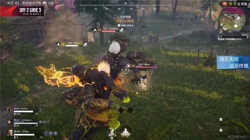 永劫大佛最新爆料,神秘力量觉醒，揭开千年之谜